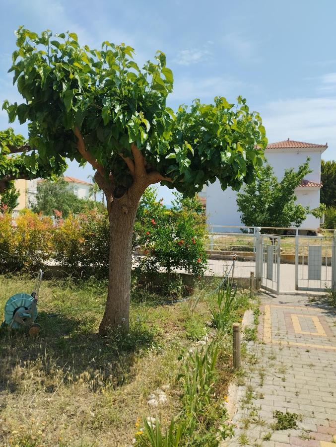 Calypso Two Bedroom Apartment *